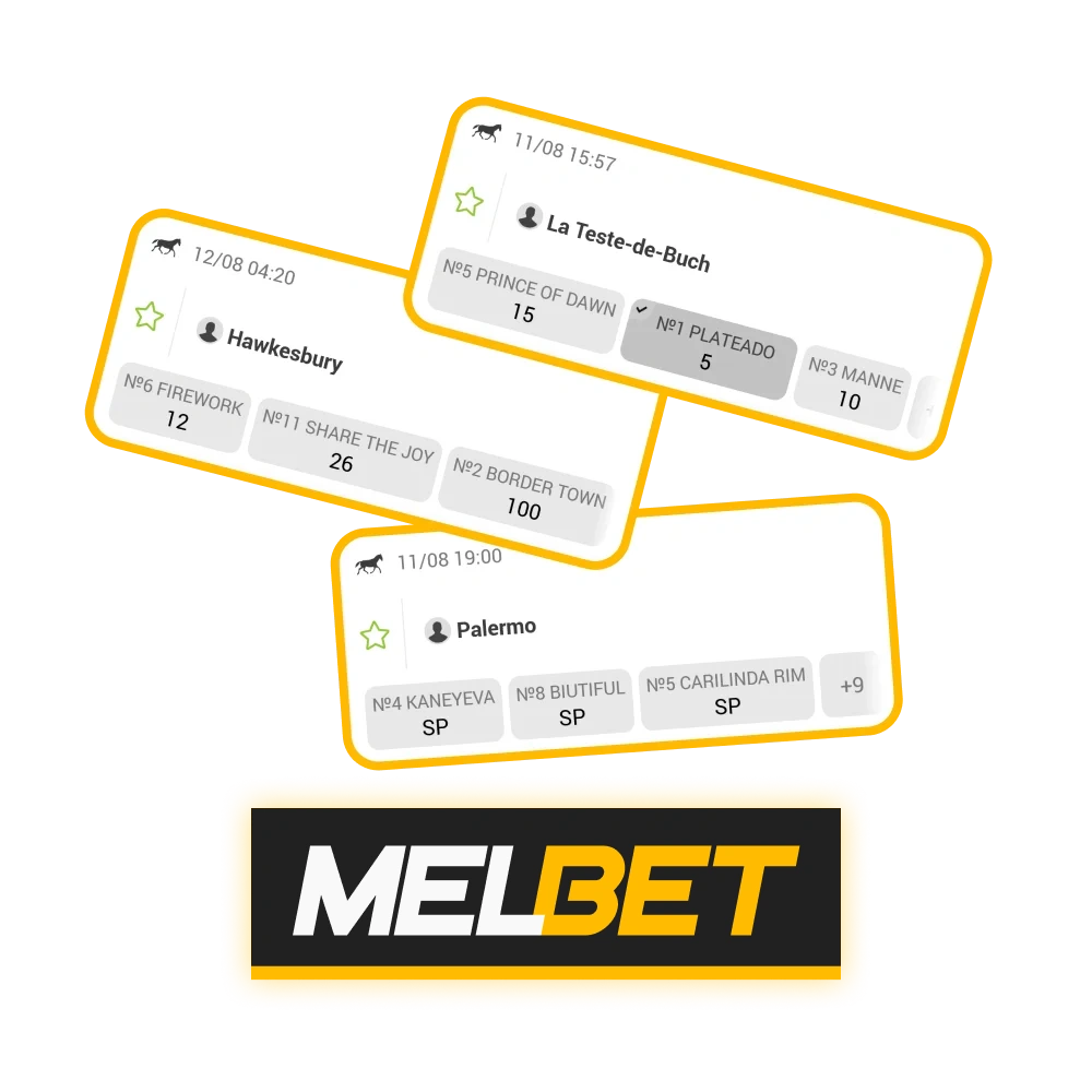 Bet on horse racing in India with Melbet.